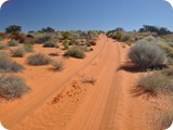 Eastern boundary Park to Poeppels Cnr (71)