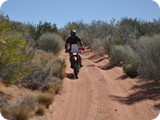 Site 5 to Site 4 Georgina Gidgee Interdunes (17)