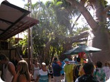 Broome Markets (4)