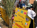 Byron Bay markets (20)