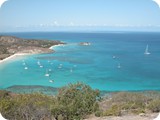 Lizard island 2