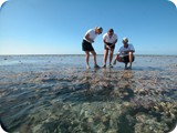 Hardy Reef Walk 21Mar05 (24)