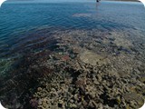 Hardy Reef Walk 21Mar05 (79)