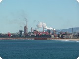 Wollongong (22)